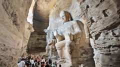 承载着中族的健康聪慧